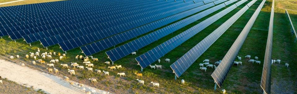 Agricultural Renewable Energy Specialist