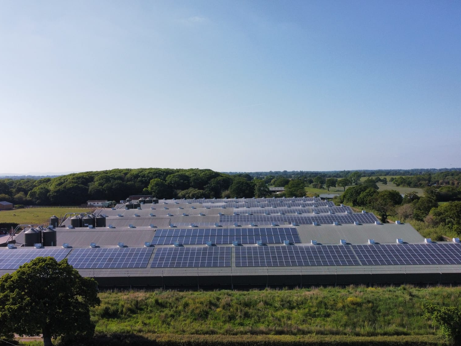 ESP Energy worked with a progressive poultry farm